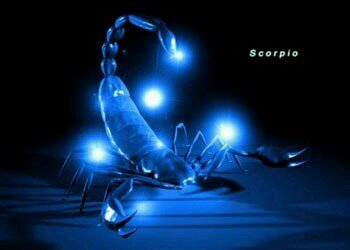 minassak's profile picture. 