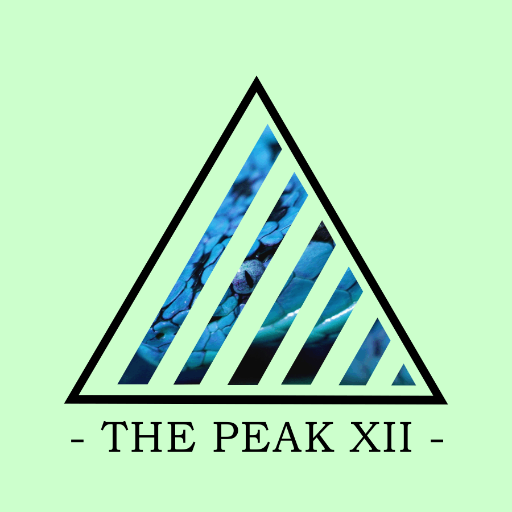 The PEAK XII (Peak 12) SUPPORTER OF INDIE LIFESTYLE & CULTURE. We offer a free marketing assistance for indie clothing & music #PEAKXII