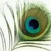 Anita Muralidharan (@muralianita) Twitter profile photo
