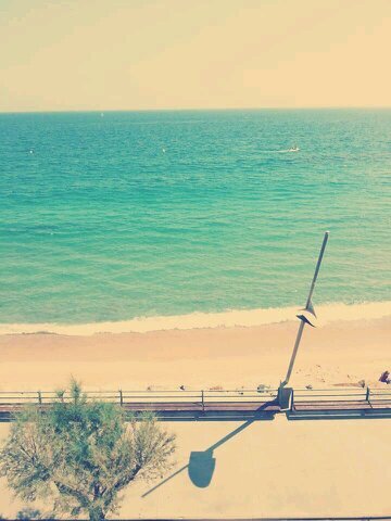 follow me please♥ and i follow you♥