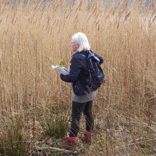 Yorkshire Lass loving walks on the WILD side and All Things Bright and Beautiful ...