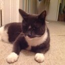 alan marty - @smartymarty1401 - Twitter