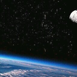 austinfilmmaker's profile picture. 