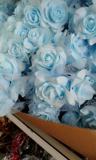 Ziranamji28's profile picture. 