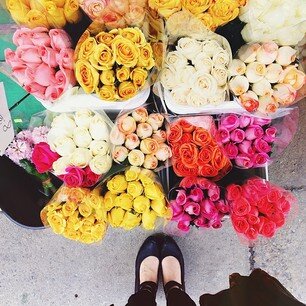 fatoom_1475's profile picture. ‏ما افترقنا لا أبد بس اتفقنا نبتعد وقلوبنا ظلت تردد إحنا ل بعض ؟ بس م نرجع ابد ♡̷̷̷̷̷̷̷