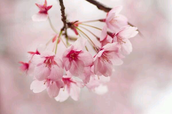 hal_literature's profile picture. 高２/文芸部/早稲田大学文学部志望/の癖にﾊﾞｶなのでいろいろ教えてください。