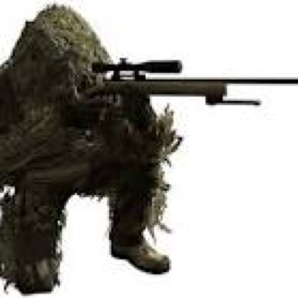 Call of duty game play et presentation dofus :)