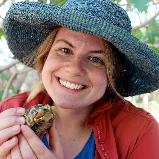Laura Cotton Profile