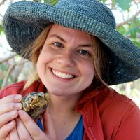 Laura Cotton (@lauraminifera) 's Twitter Profile Photo Laura Cotton (@lauraminifera) 's Twitter Profile Photo