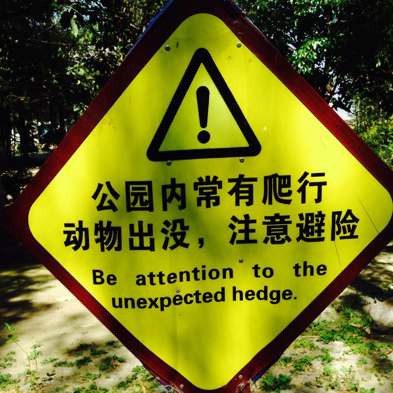 pgcbate's profile picture. Former multilateral scribe. Father of ⭐️⭐️⭐️⭐️. Scattershot 🏌️‍♂️