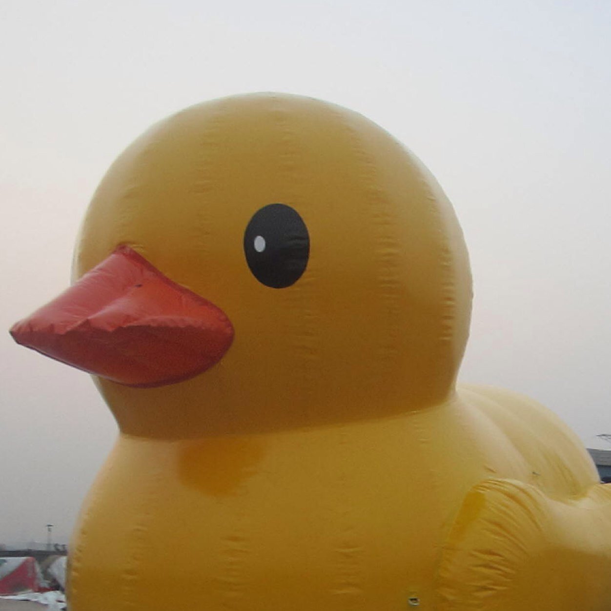 ExtremeDuckRacing