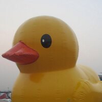 ExtremeDuckRacing (@extremeduckrace) 's Twitter Profile