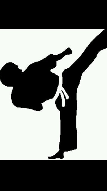 taekwondoka