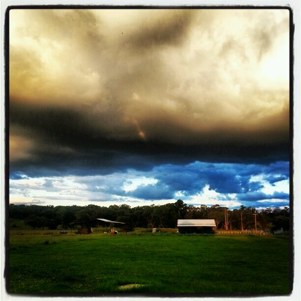 hels_oc's profile picture. Back from the farm