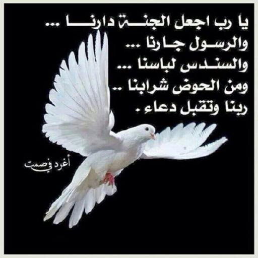 جوال 0535714349  /لحجوزات فنادق مكه والمدينةواتس 00966535714349