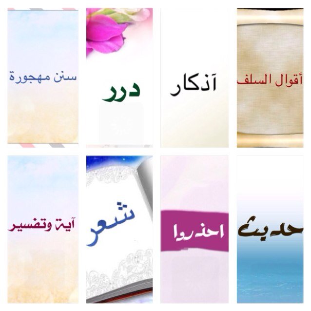 Instagram : szsa55