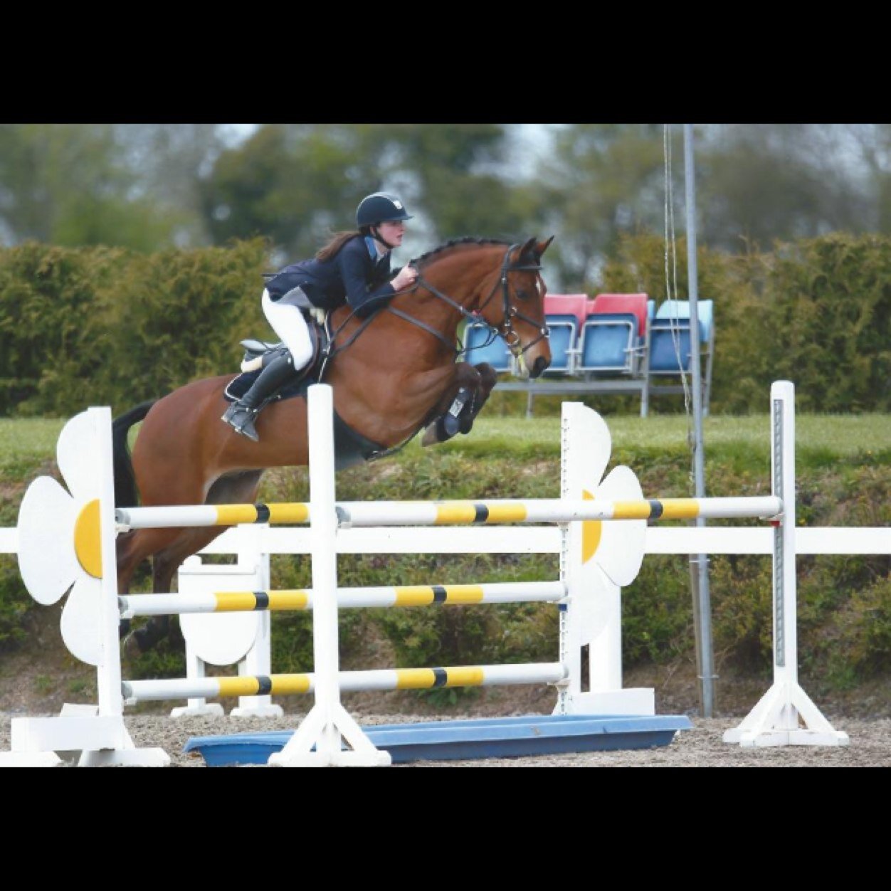 performancepony's profile picture. 