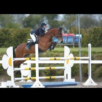 PerformanceConnemara (@performancepony) 's Twitter Profile
