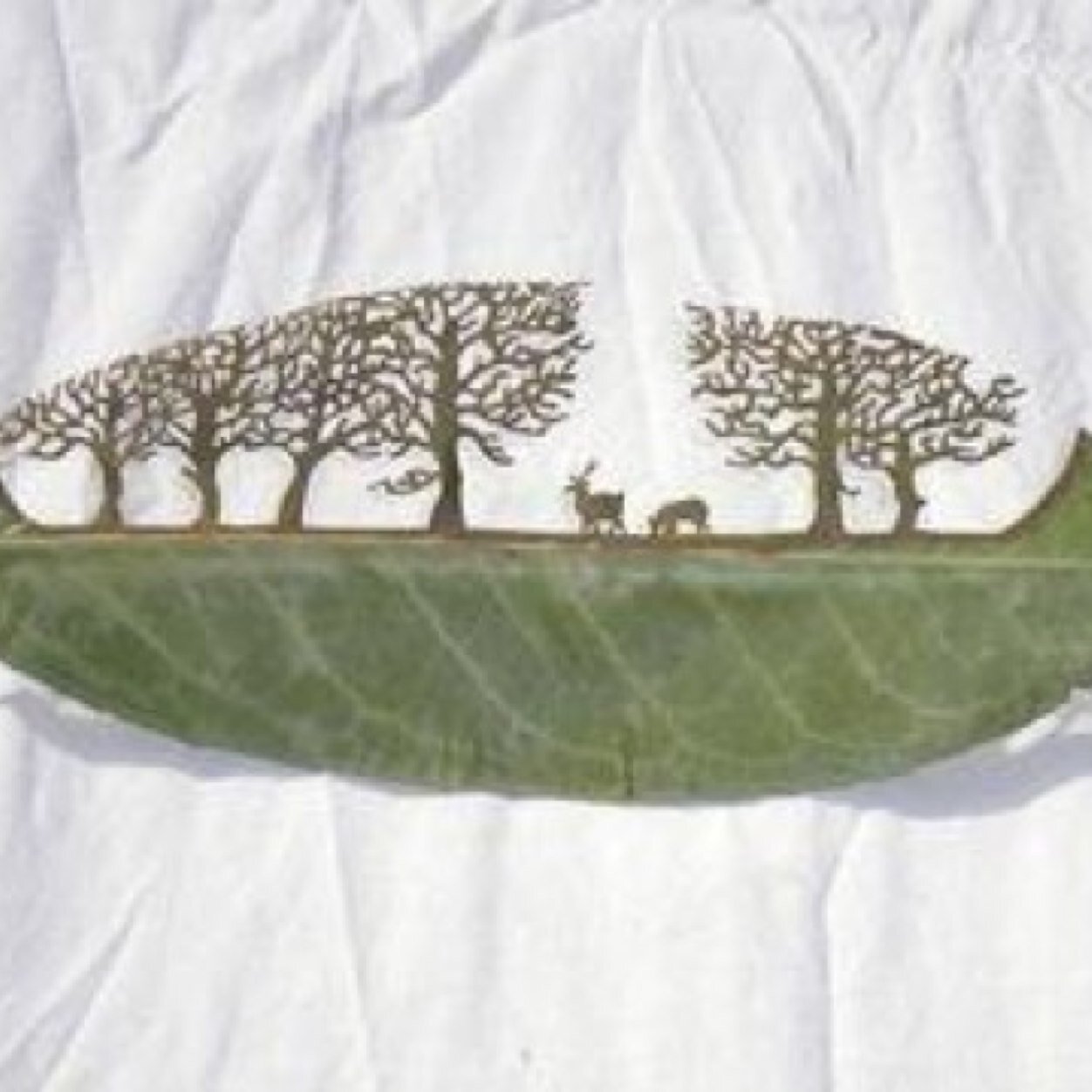 NGORUT's profile picture. 学生です！気ままにつぶやきます。 (－ωー)