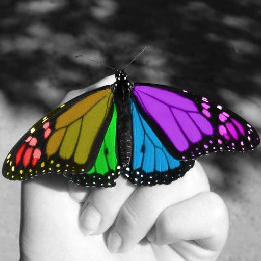 NinaH3354's profile picture. If you love something set it free if it comes back it was meant to be :)