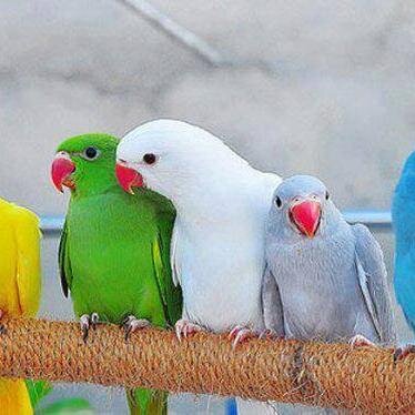 Tayba163e's profile picture. Be soft.Do not let the world make you hard.