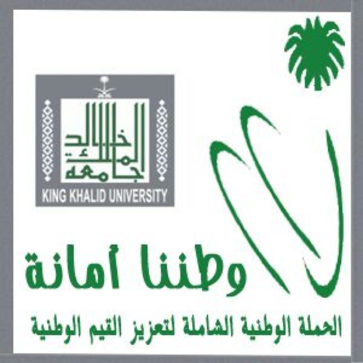 مشاركة منسوبي جامعة الملك خالد في دعم حملة #وطننا_أمانة