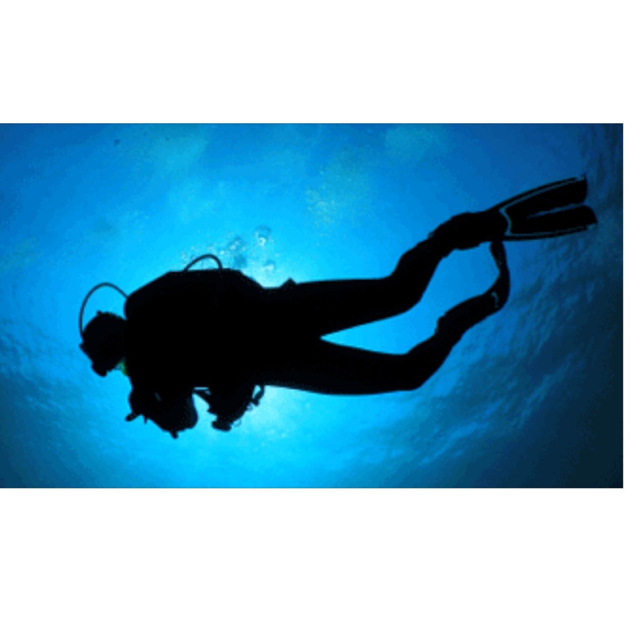 scubamike83's profile picture. 