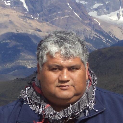 Dirigente Mapuche. Consejero Nacional CONADI ( 2012-2016).re-electo (2017-2020).  Nación Mapuche.