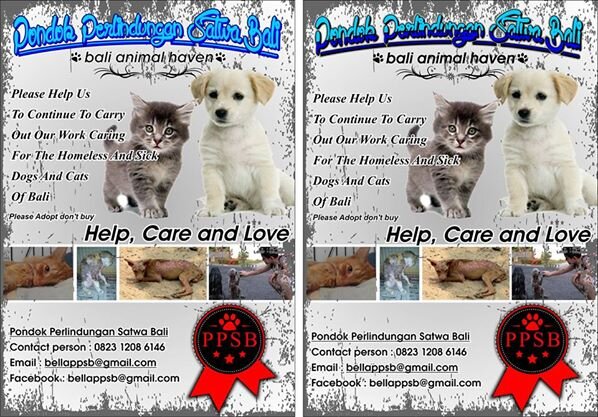 ninappsb's profile picture. help us to carry to continue out our work caring for the homeless and sick dog , cat of bali :)