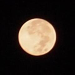 鈴木ザ煉獄丸さんを偲ぶ会/med chem/molecules induce proximity/liquid condensates