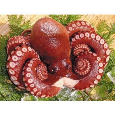 垢消し