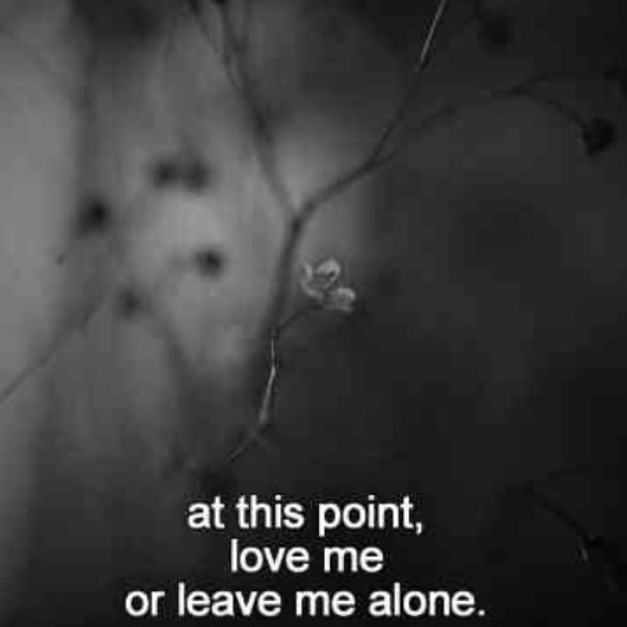 When you're happy, you enjoy the song, But when you're sad, you understand the lyrics.