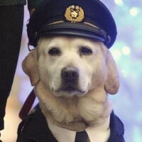 ポリす (@porisu) Twitter profile photo