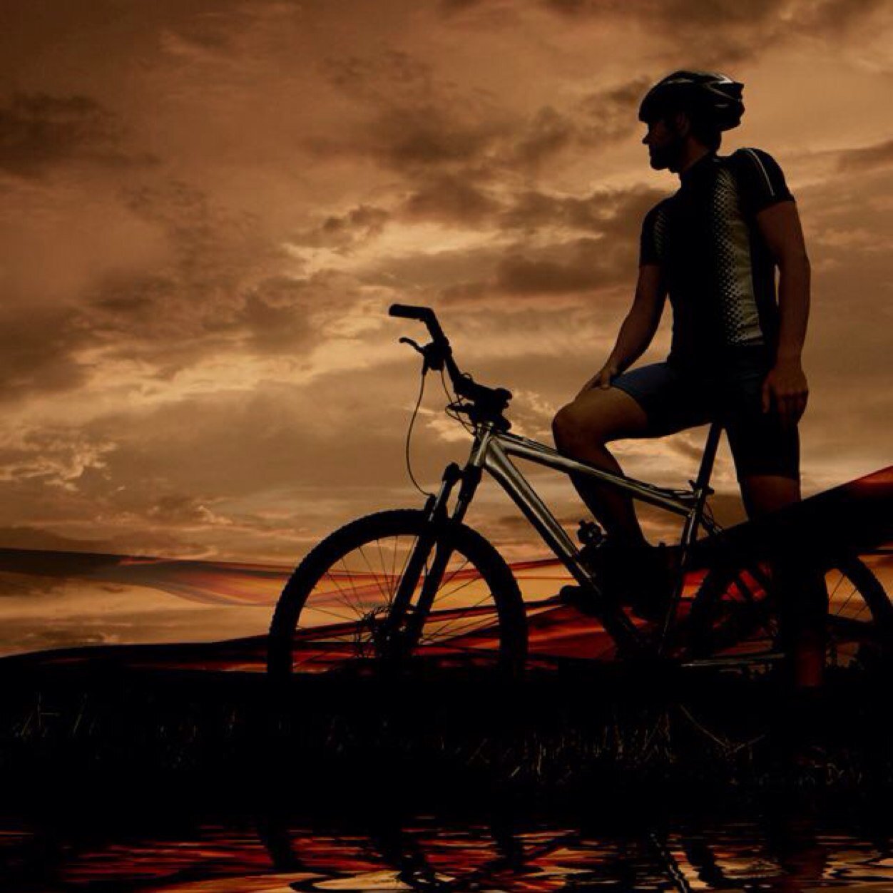 eldy_lenardo's profile picture. 