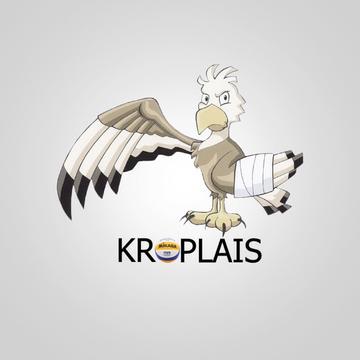 KScempionats's profile picture. Regular tournament played by local superstars.