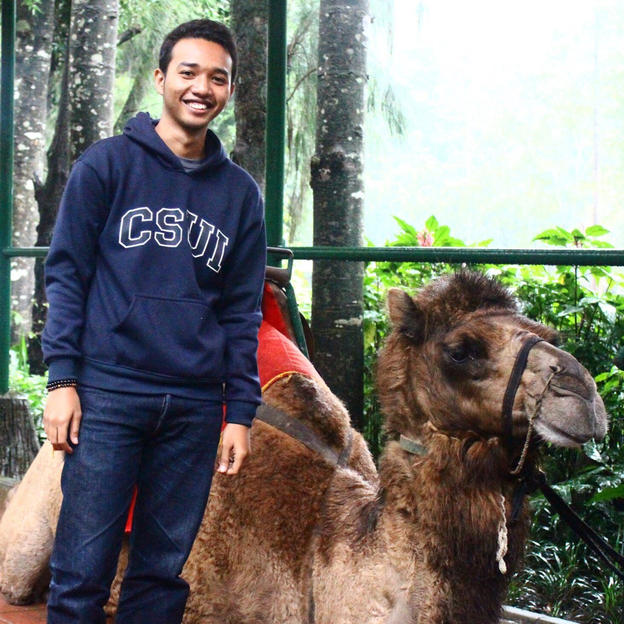 fiqliakbar's profile picture. kipli.