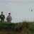 GrunderbirdsRgo's profile image