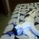 Daniel Thiem - @TitanzGhee - Twitter