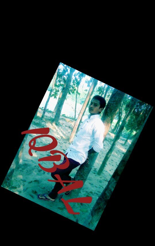 iqbalho89536990's profile picture. 