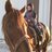 schram_jon's profile image