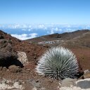 Michael Ogle - @MikeOgle11 - Twitter