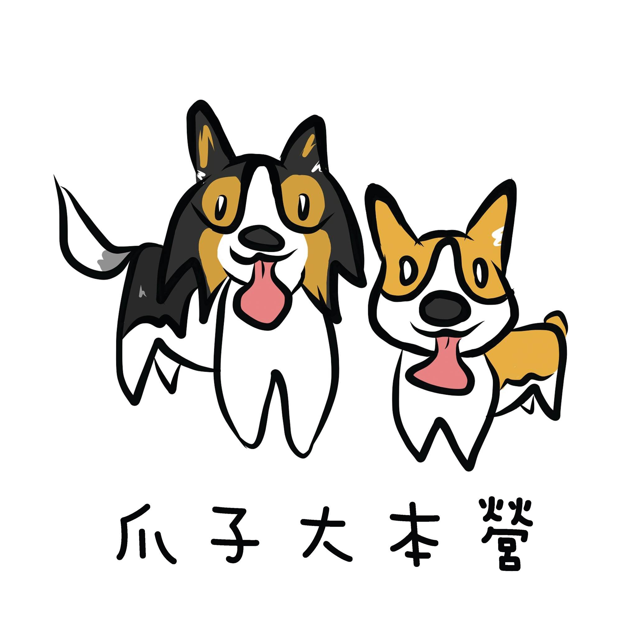 Sheltie - Kobe & Corgi - Toku