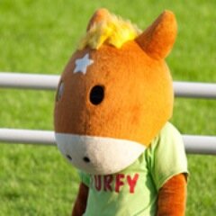 趣味は写真。競馬は一口クラブ会員（キャロット、ノルマンディー、インゼル、出資馬は固定ツイートにて）です。あと、限定モノに弱い。たまに撮った写真を公開します。（画像の無断転載は不可です）
