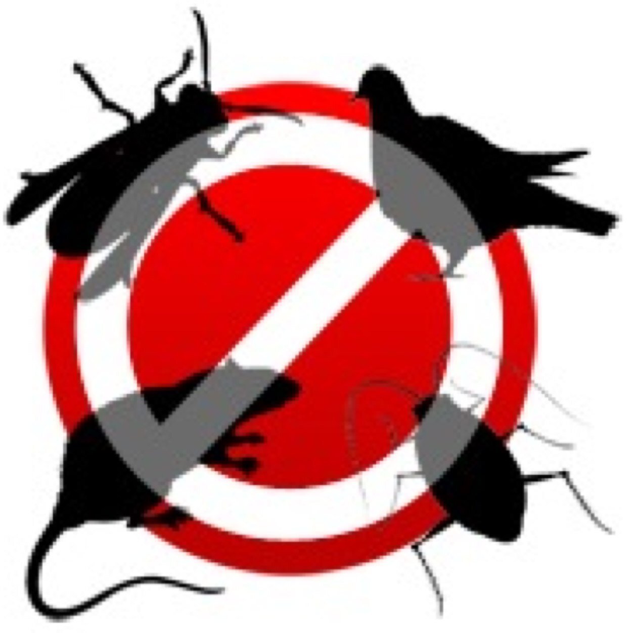 info@pinnacle-pestcontrol.co.uk 01332929849/01158967461