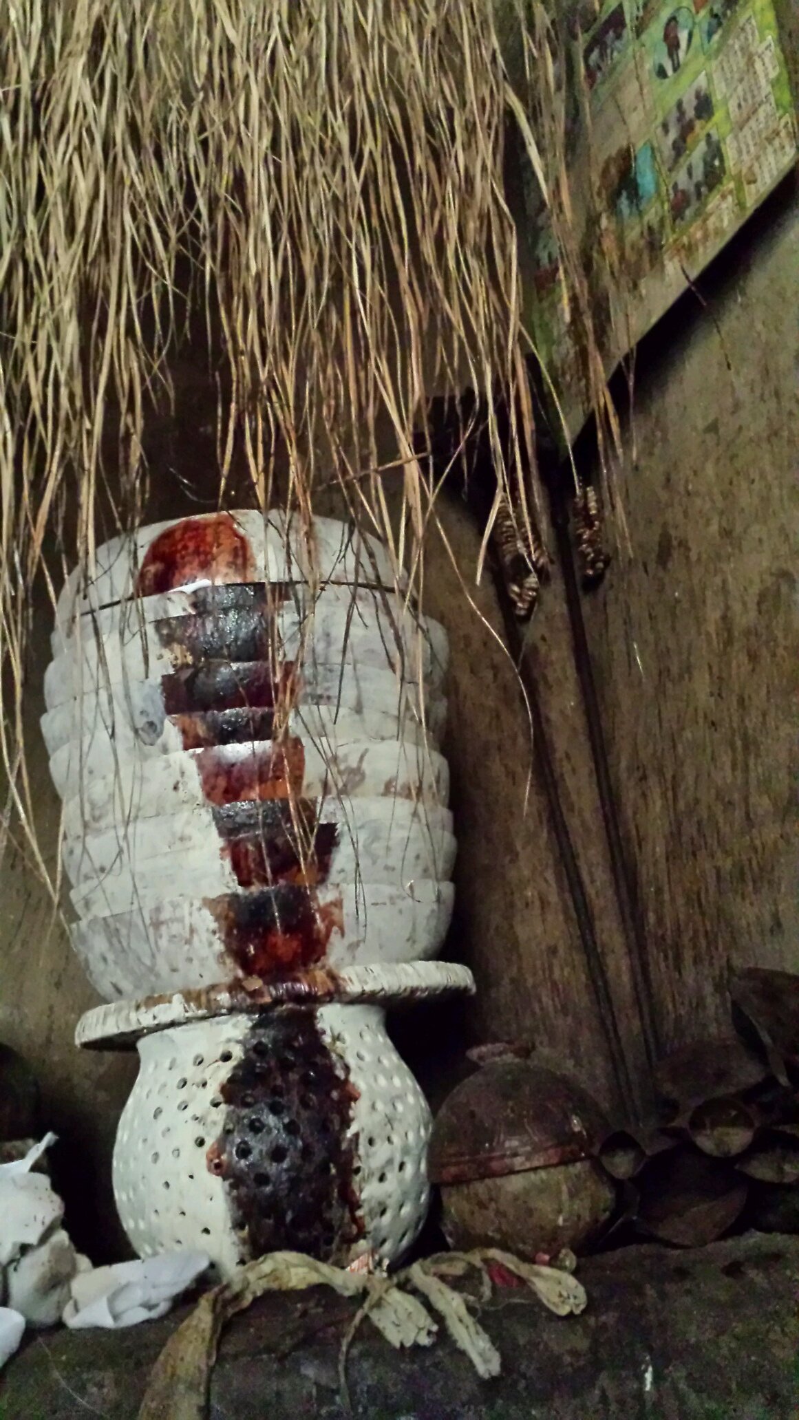 bluetomatofish's profile picture. proud RN at Broward Health North