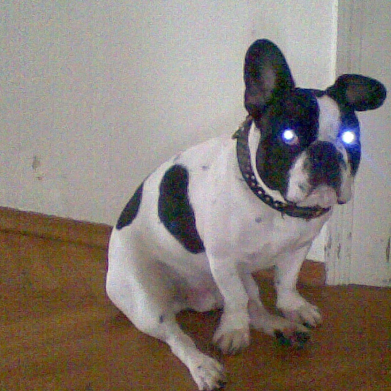 irmiku's profile picture. 