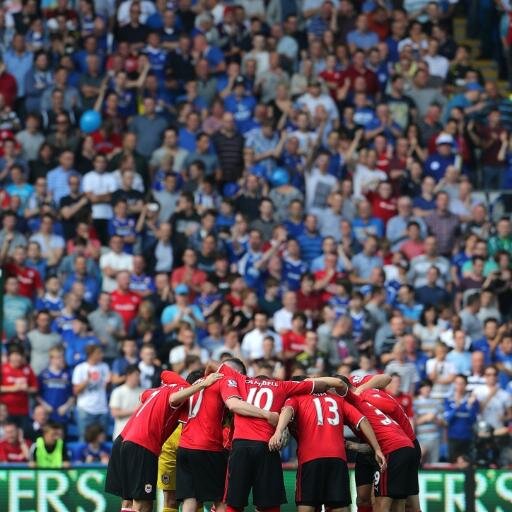 rugby fan /wales fan / Cardiff fc