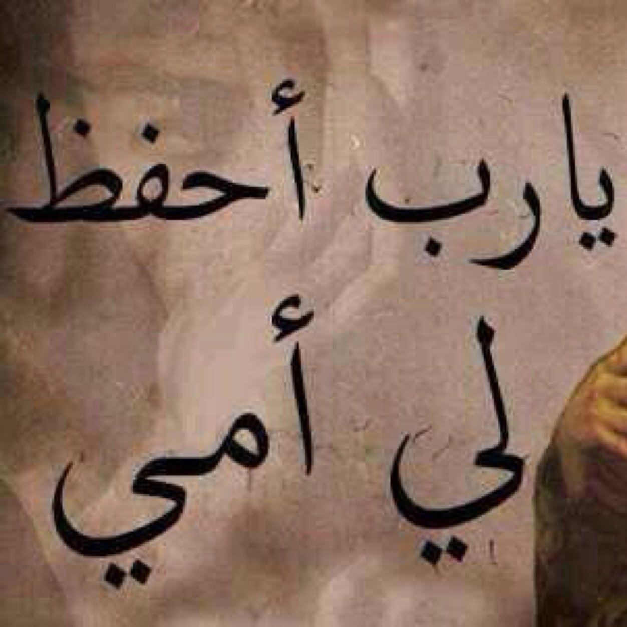 مهمل الخاص