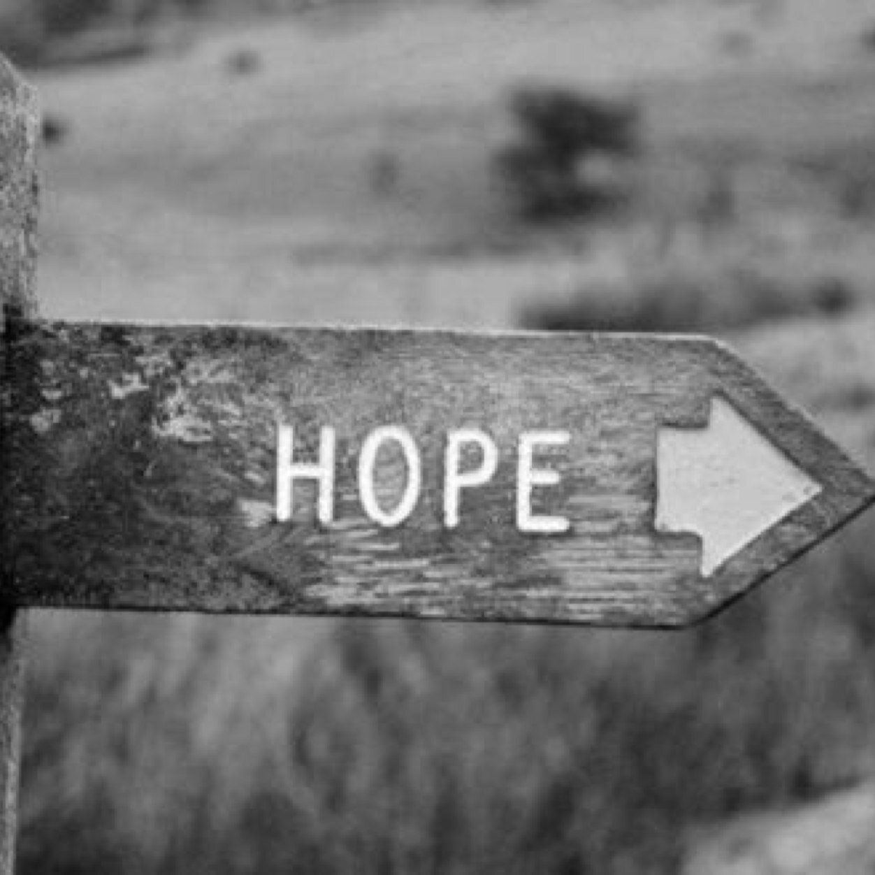 theOBAngel's profile picture. Just spreading the love, no thanks needed! If you need help DM me at anytime :)