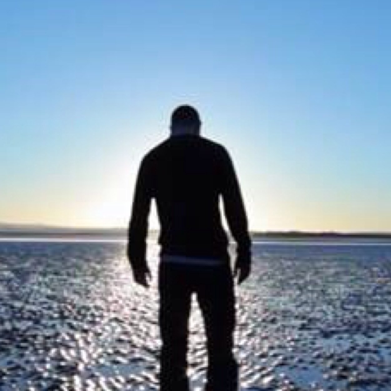 ProfessorBossco's profile picture. 